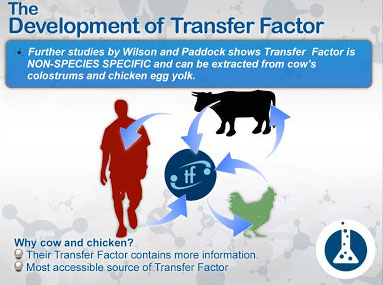 4Life Transfer Factor