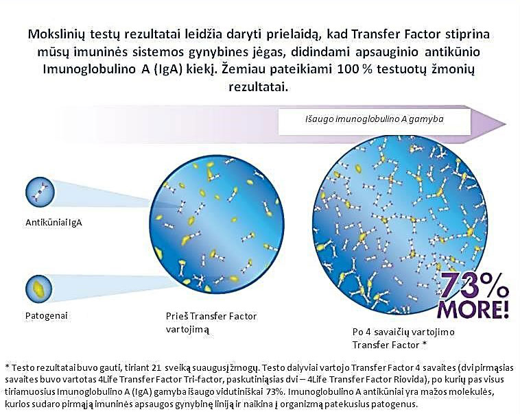 4Life Transfer Factor tyrimų rezultatai