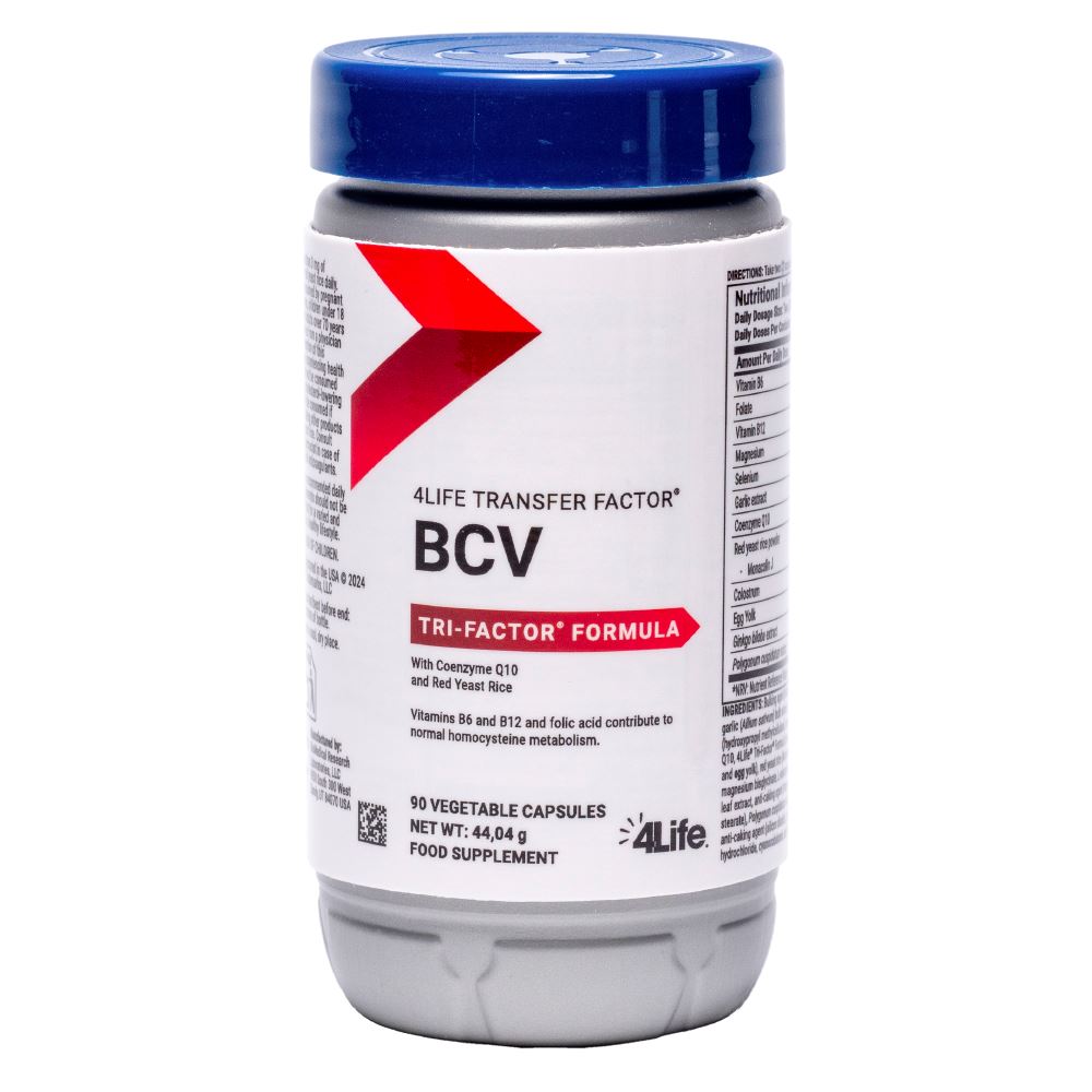NAUJAS!!! ŠIRDIES -KRAUJOTAKOS SISTEMAI-  BCV™